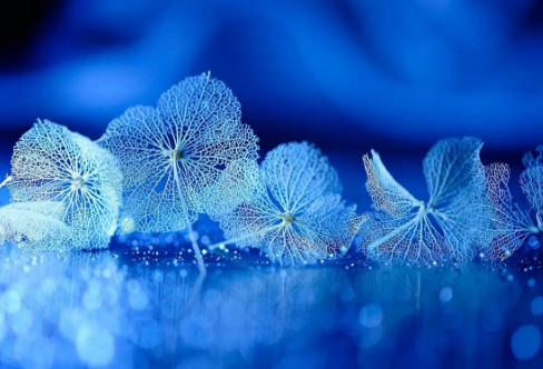 1710709347801956.png image.png