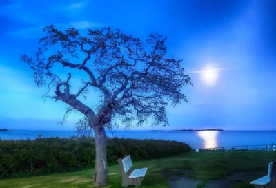 ​勇敢的心经典台词_经典台词