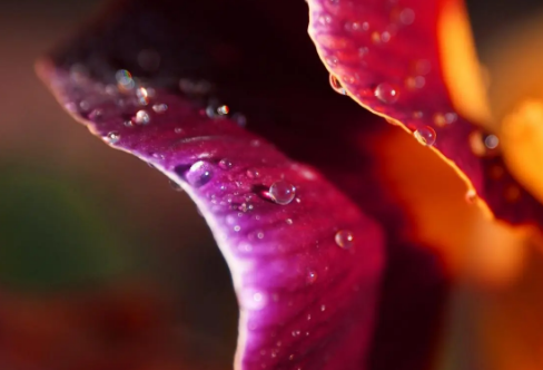 1710710354817409.png image.png