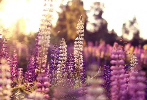 1710710522678481.png image.png