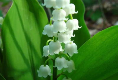 ​英雄联盟最伤心的语录