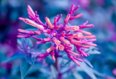 ​2024积极上进鼓励人心的话