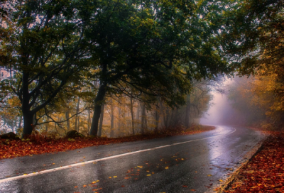 ​2024最新心情语录