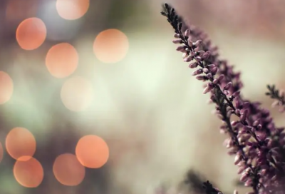 ​每日正能量语录2024