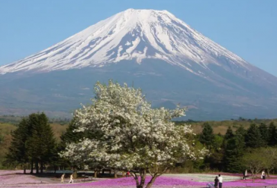 ​女人创业语录