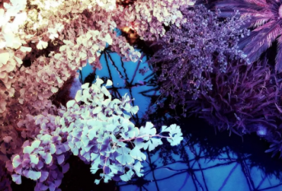 ​2024年经典语录句句入骨