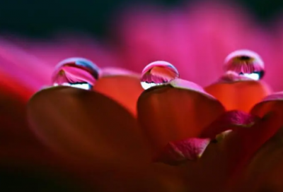 ​家的n次方经典台词_经典台词