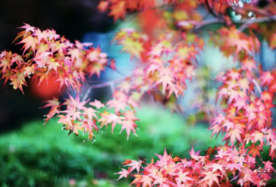 ​钱钟书经典语录60句