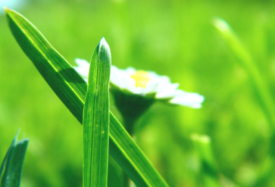 ​2012网络流行语