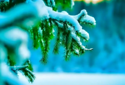 ​抖音里最热门的几段话