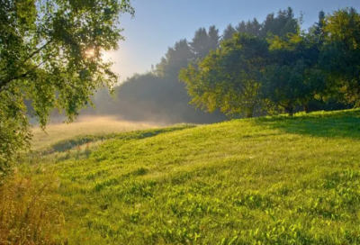 ​适合自己的心情语录一句话