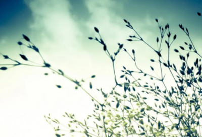 ​西游记好词好句