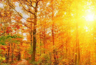 ​2024年正能量语句