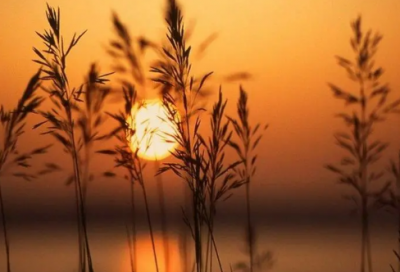 ​精辟惊艳的朋友圈句子语录