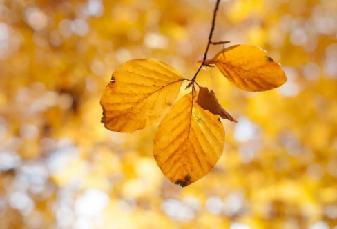 1710715054538094.png image.png