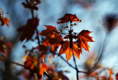 ​温柔的一句话