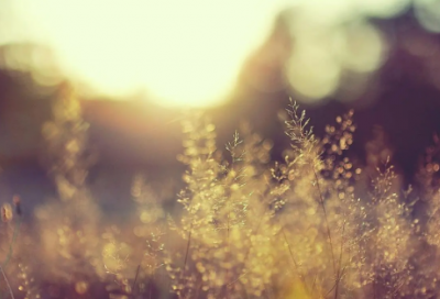 ​动漫中经典到让人窒息的语录