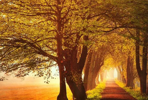 1710716564745153.png image.png