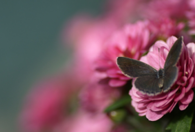 ​2024抖音经典伤感语录