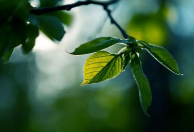 ​约会专家经典台词