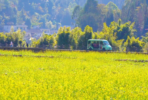 1710717739268232.png image.png