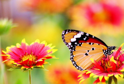 ​王者网名带吃字的名字