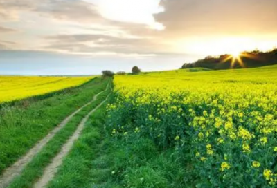 ​带吃的网名甜美女