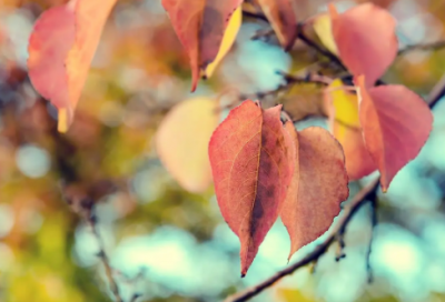 ​名字中带社会的网名女