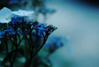 ​带吃幽默的网名