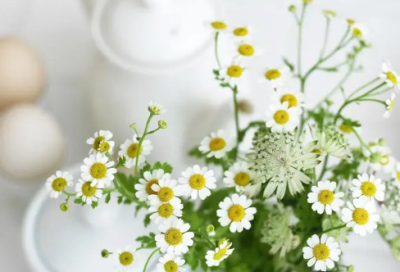 ​带事的谐音梗网名