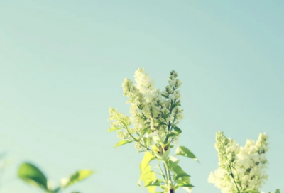 ​情侣发誓的誓言