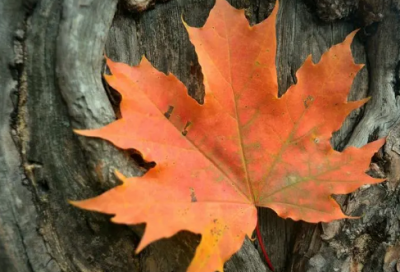 ​晚上睡不着语录