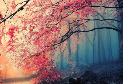 ​芝麻开门台词