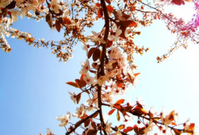 ​朋友圈语录说说