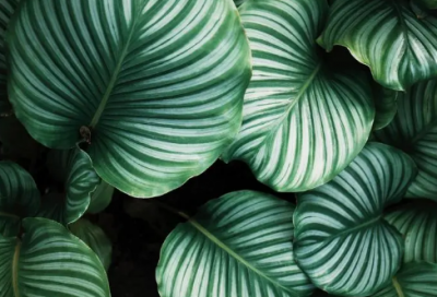 ​2024年的励志语言