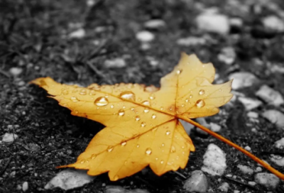 ​朋友圈说说语录