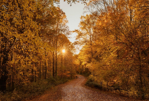 1711095821529758.png image.png