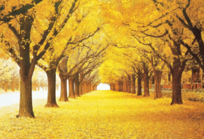 ​抖音的句子经典语录