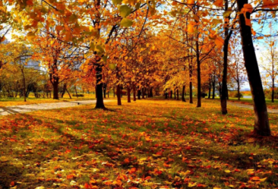 ​天道经典台词