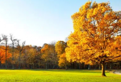 ​木心经典语录摘抄-74句