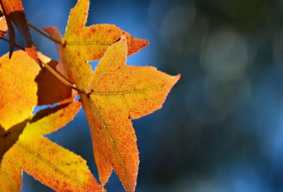 ​抖音句子经典语录