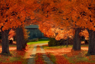 ​仙剑奇侠传三经典台词