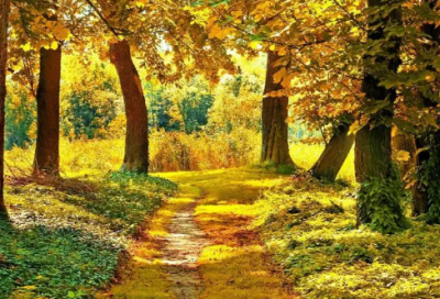 ​抖音热门语录