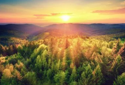 ​朋友圈语录流行的句子