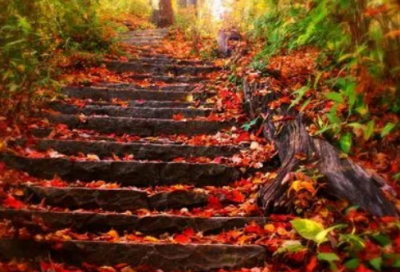 ​朋友圈微信心情句子好经典语录