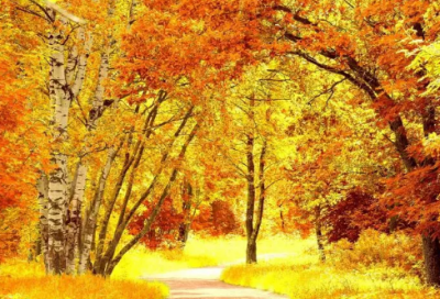 ​盘点2024励志话