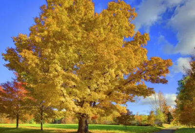 ​最无情的星座