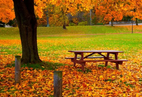 1711100688813463.png image.png