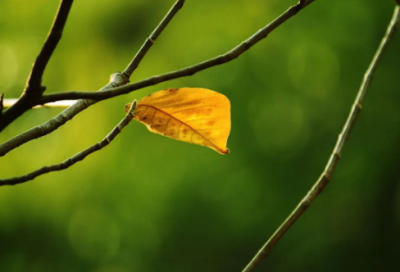 ​非主流繁体字伤感语录