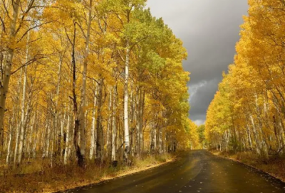 ​怎么说，才能让父母支持我们的喜好